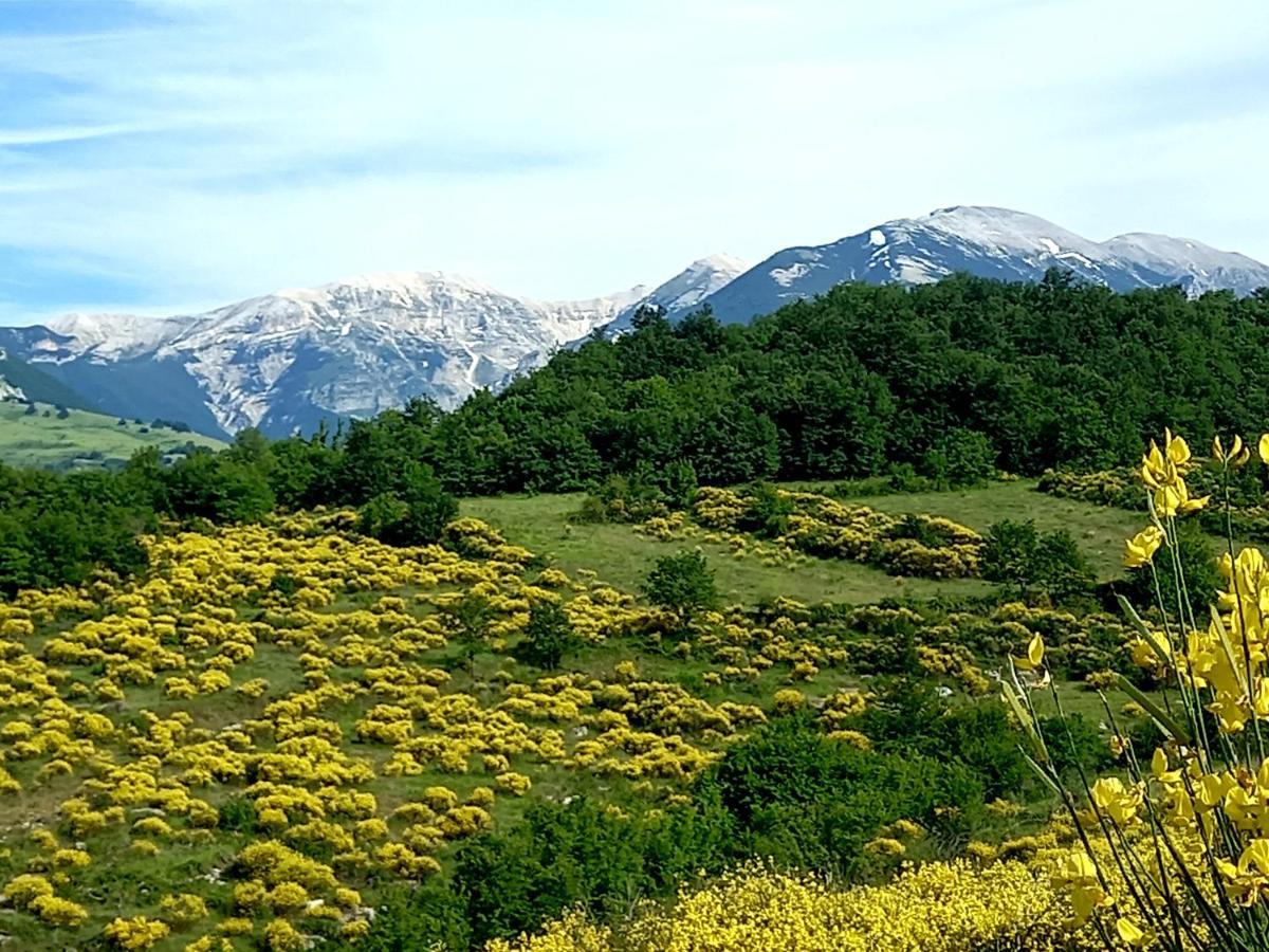 La Casa Dalle Finestre Blu Abbateggio Dış mekan fotoğraf